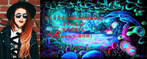 гидропоника Алзамай