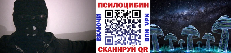 Галлюциногенные грибы Psilocybine cubensis  Геленджик 